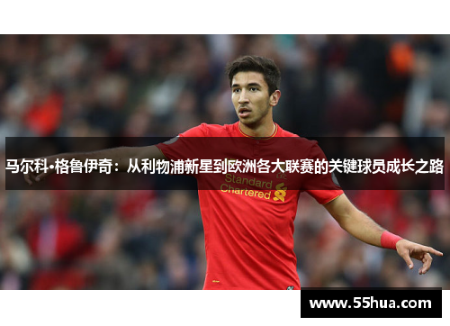 马尔科·格鲁伊奇：从利物浦新星到欧洲各大联赛的关键球员成长之路