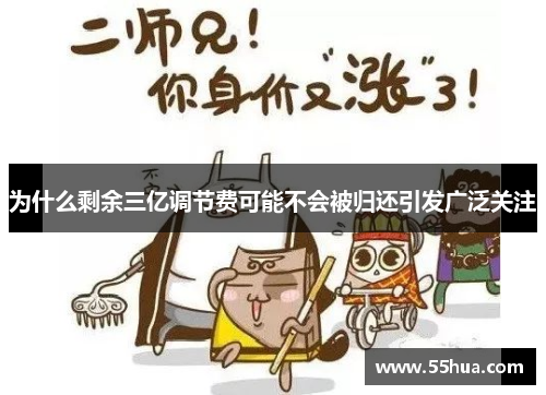 为什么剩余三亿调节费可能不会被归还引发广泛关注