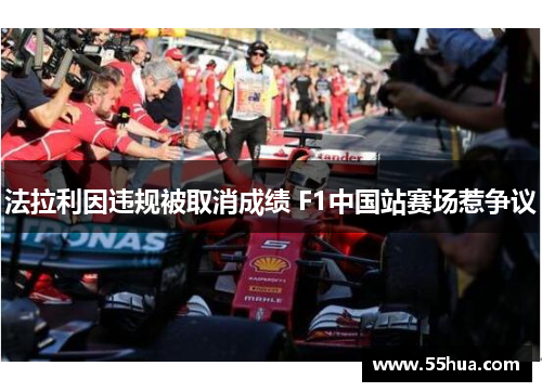 法拉利因违规被取消成绩 F1中国站赛场惹争议