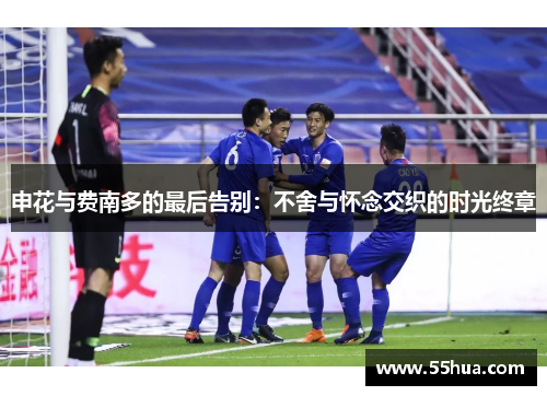 申花与费南多的最后告别：不舍与怀念交织的时光终章