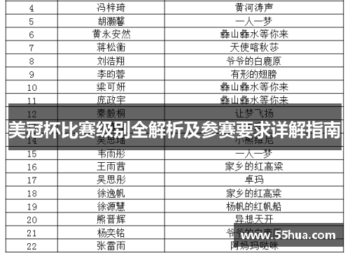 美冠杯比赛级别全解析及参赛要求详解指南